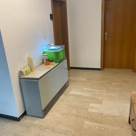 Apartment Grosse Haus Fuer Bis Zum 13 Leute Trier